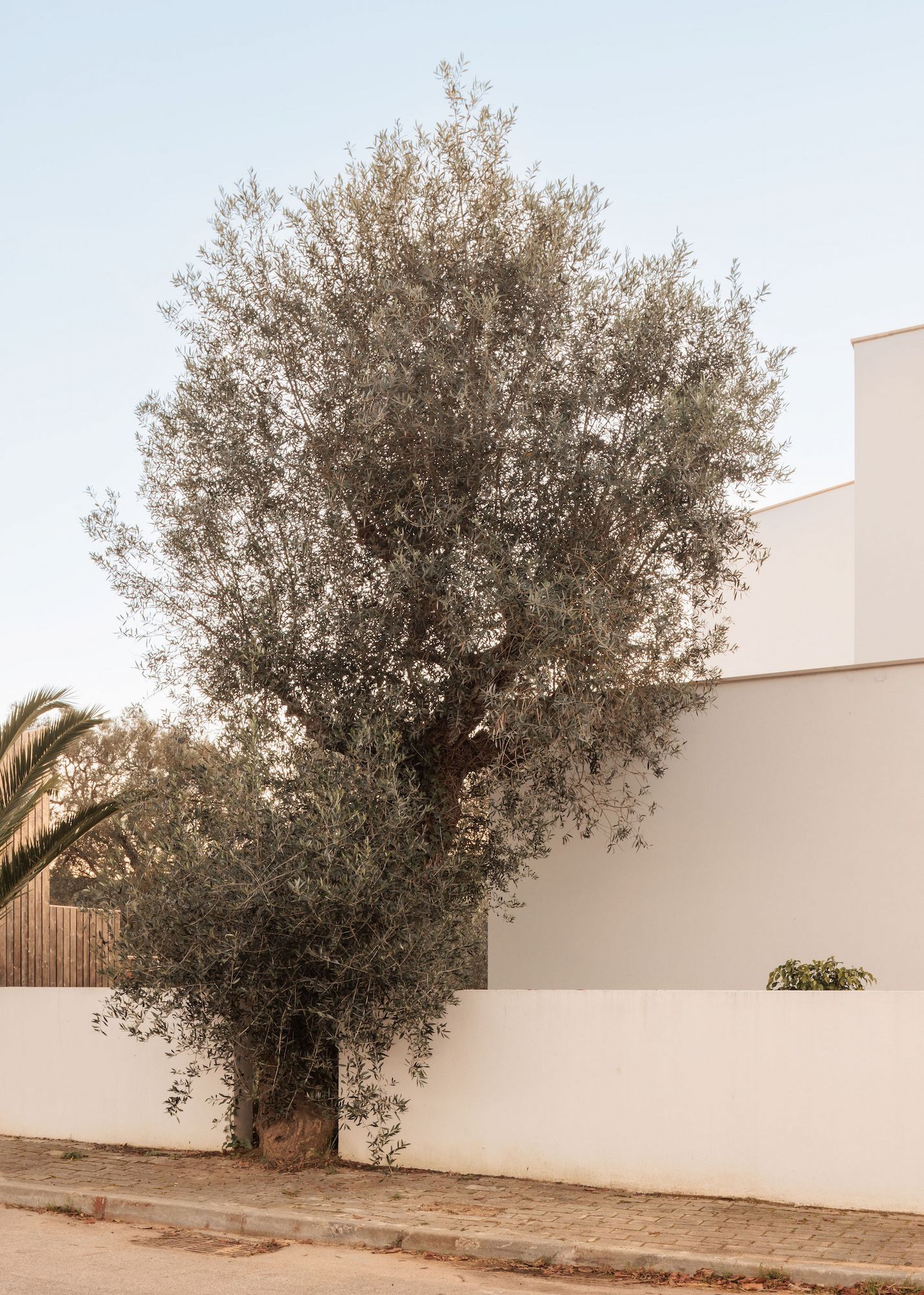 casa-passos-velhos-exterior-18